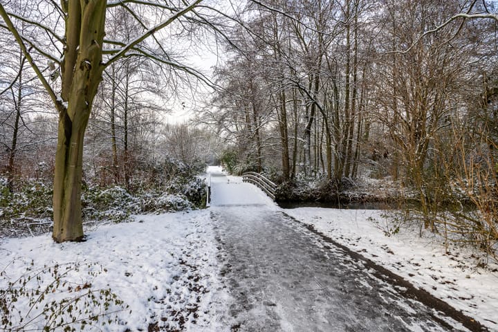 Foto 48 van Scholeksterstraat 3