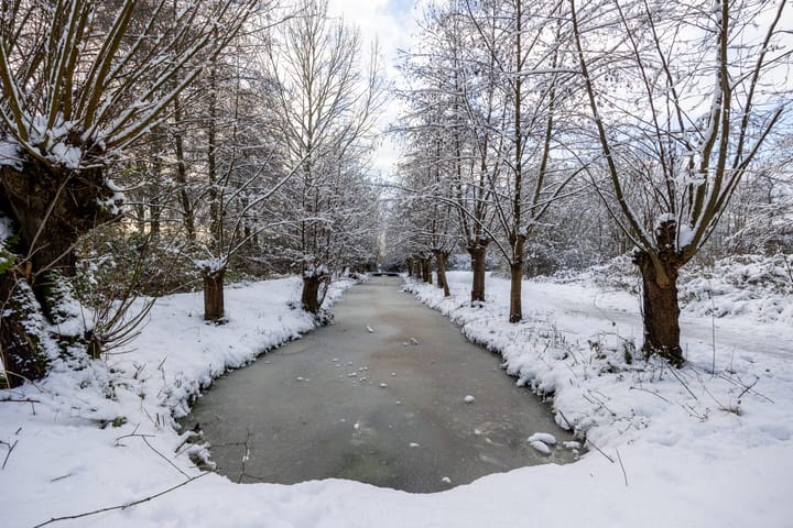 Foto 49 van Scholeksterstraat 3