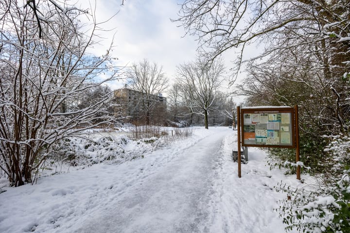 Foto 50 van Scholeksterstraat 3