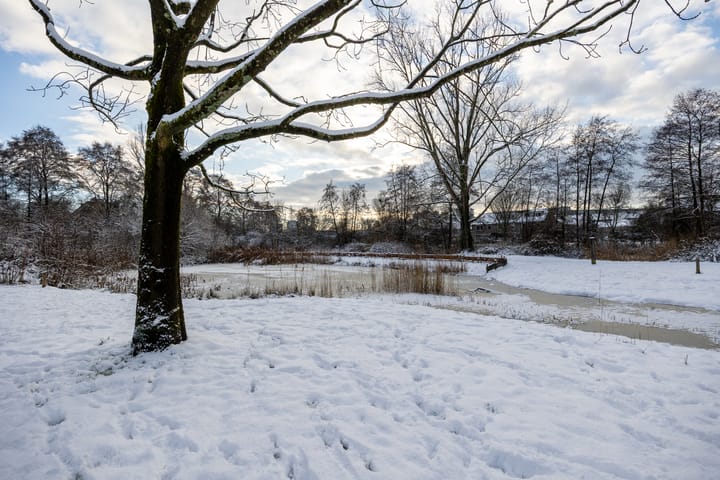 Foto 51 van Scholeksterstraat 3