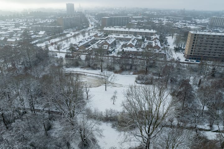 Foto 52 van Scholeksterstraat 3