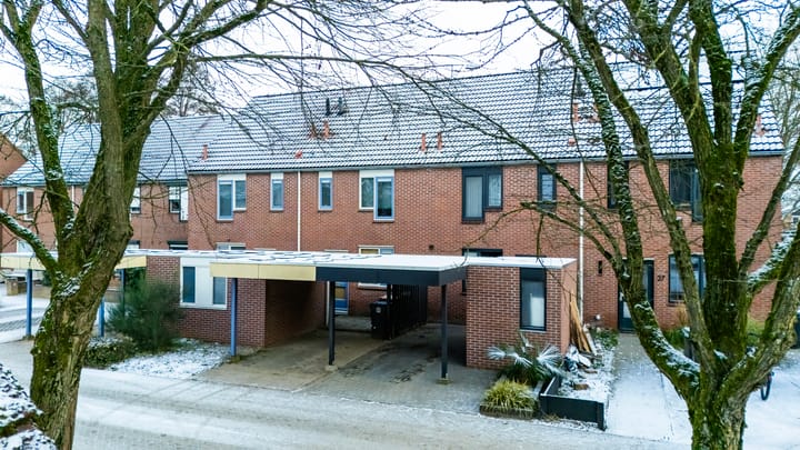 Ampsen 25 main image