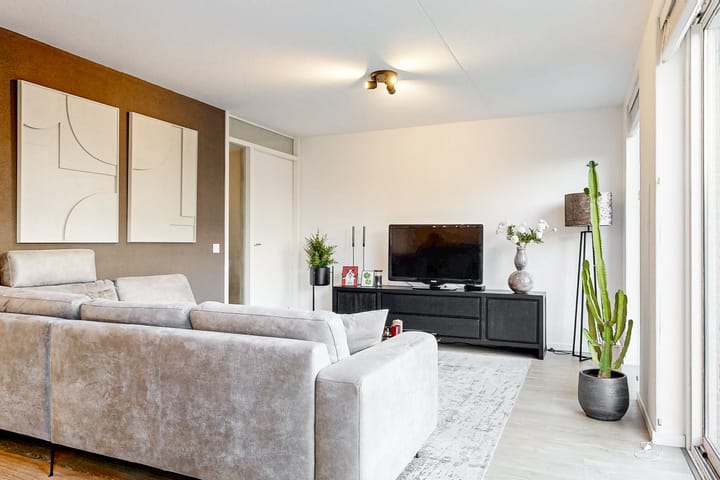 Foto 3 van Willem Walravenhove 12