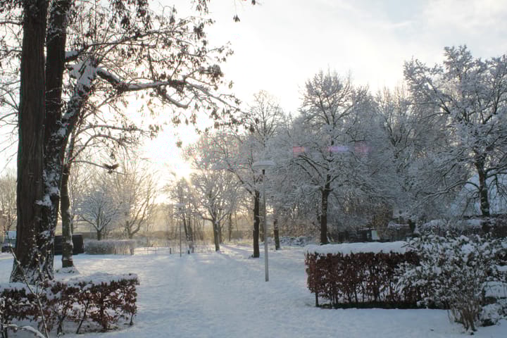 Foto 37 van Anna van Burendreef 47