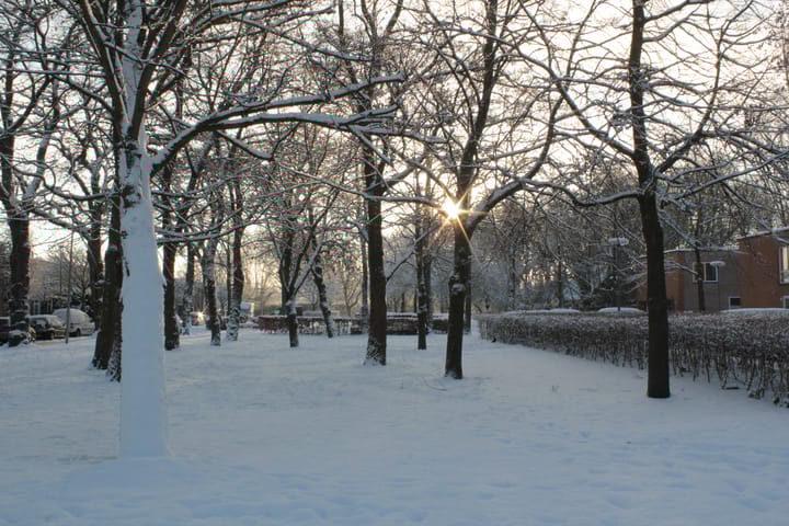 Foto 38 van Anna van Burendreef 47