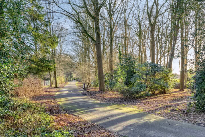 Foto 29 van Parklaan 132