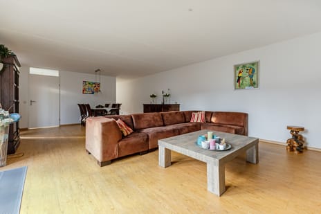 Zocalo 13 tertiary image