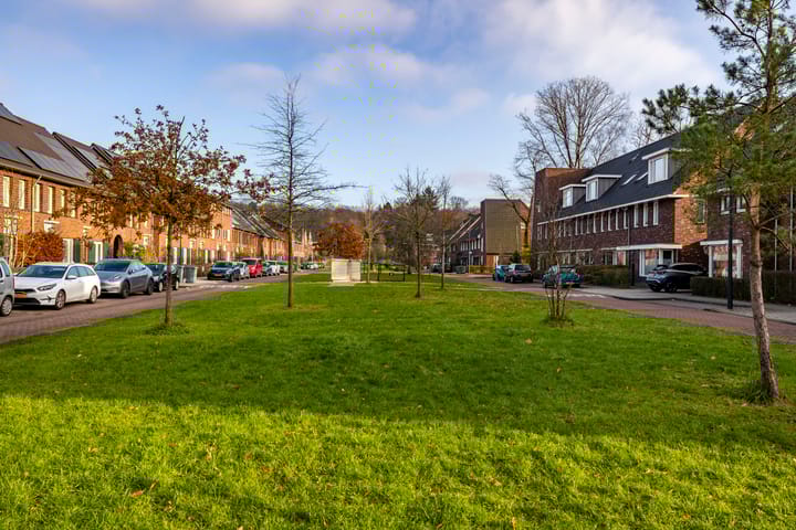 Photo 33 of Oversteek 3