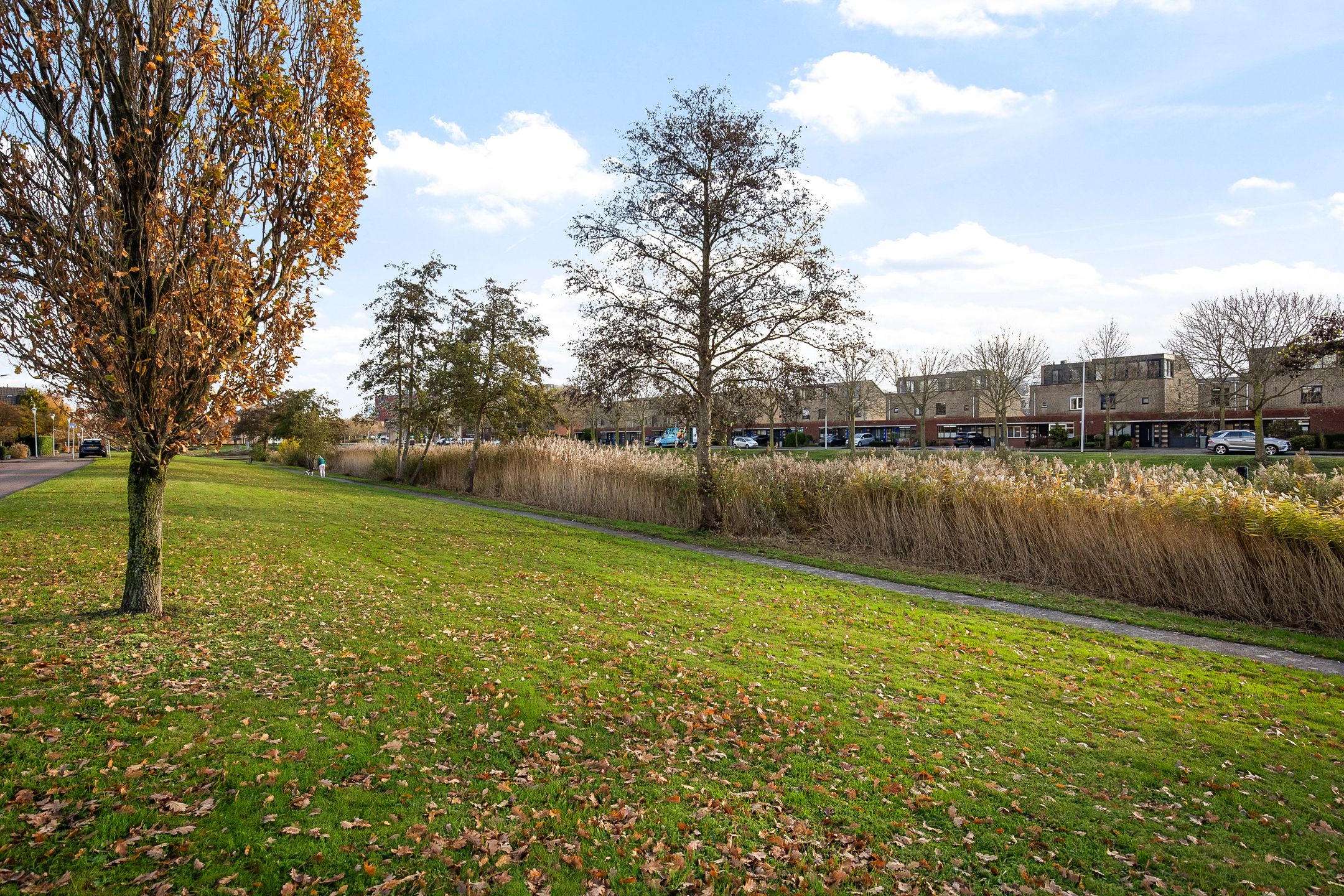 Foto 45 van Taniaburg 36