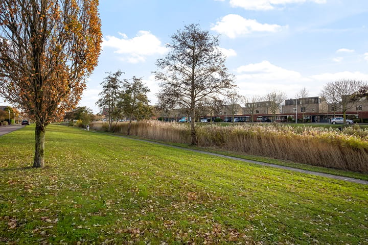 Foto 45 van Taniaburg 36