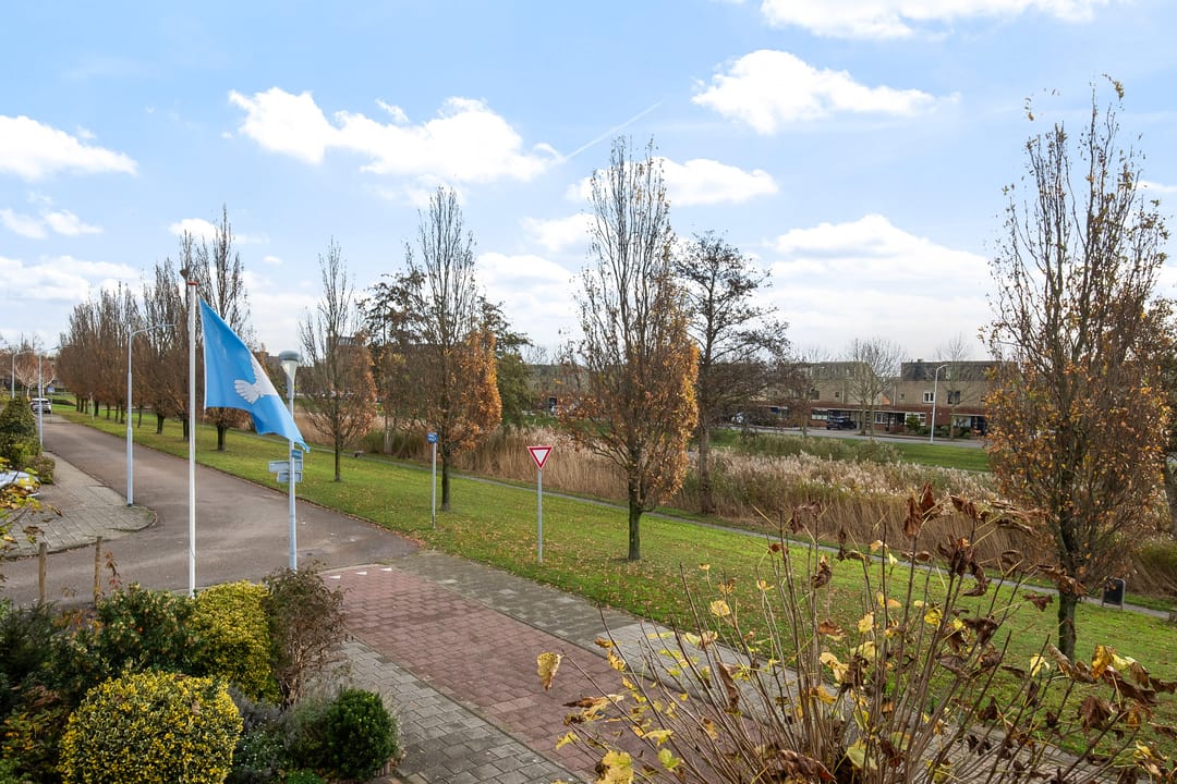 Foto 46 van Taniaburg 36