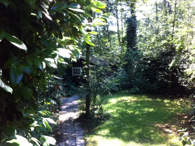 Foto 2 van Sportlaan 119