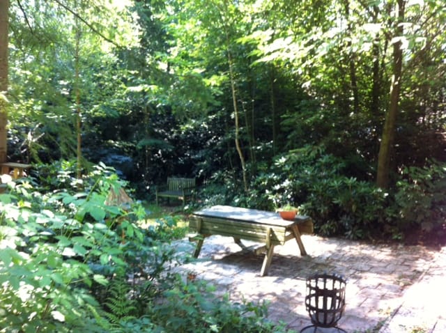 Foto 3 van Sportlaan 119