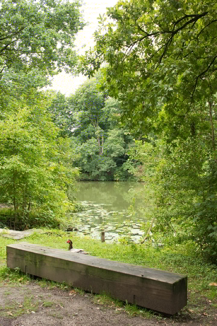 Photo 36 of Coltbaan 23-2