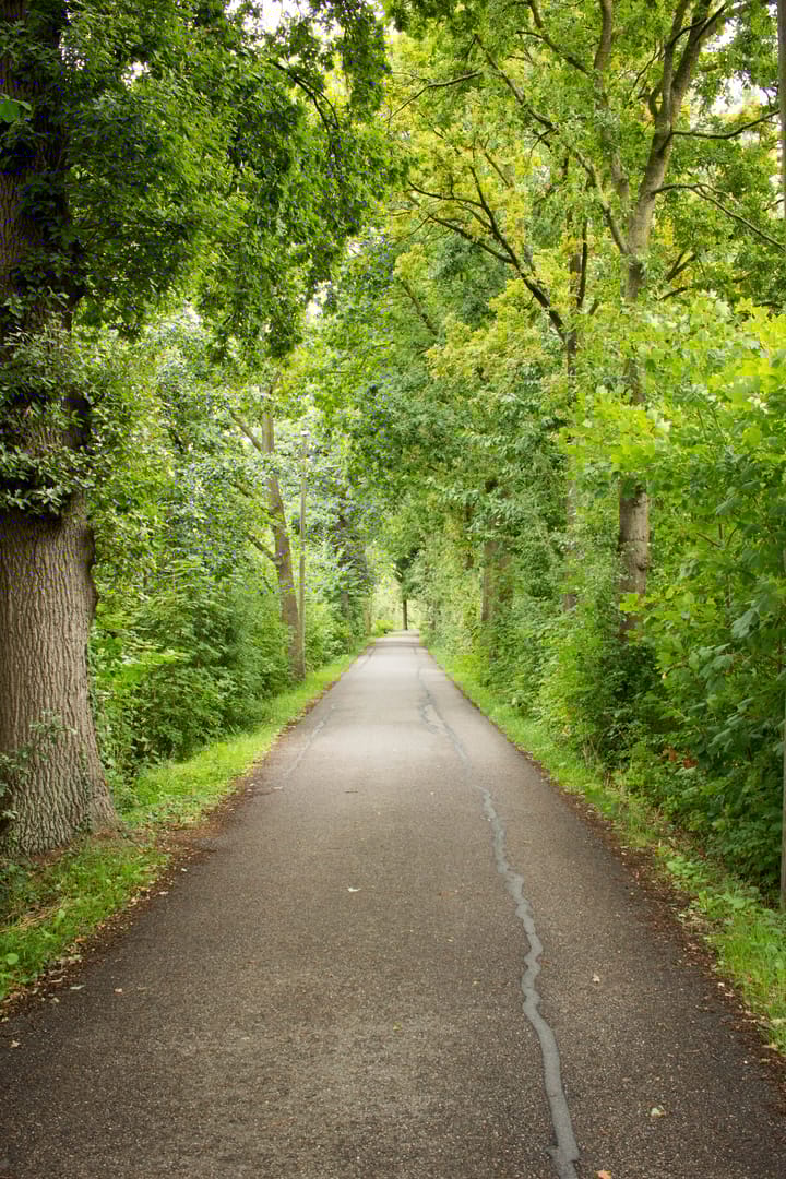 Photo 35 of Coltbaan 23-2