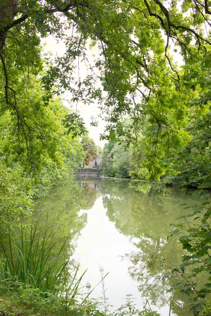 Photo 39 of Coltbaan 23-2