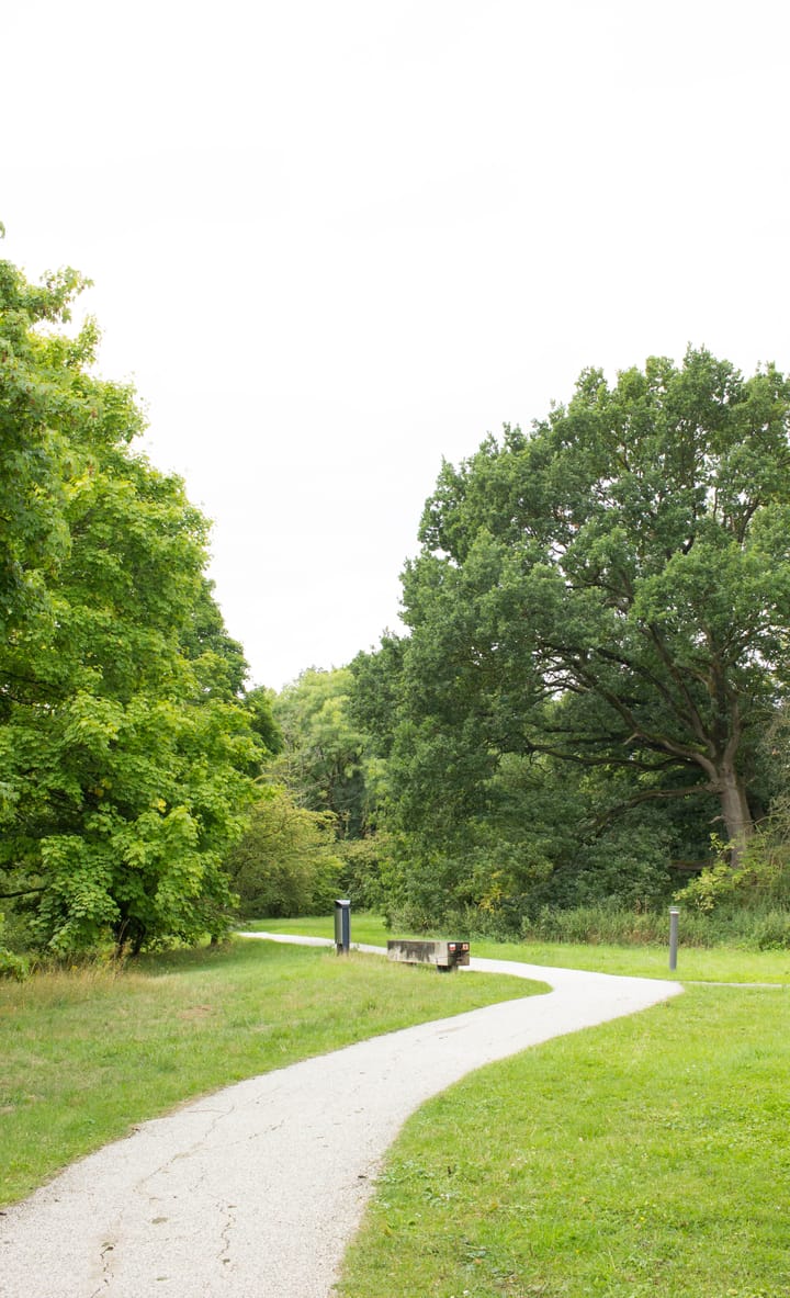 Photo 38 of Coltbaan 23-2