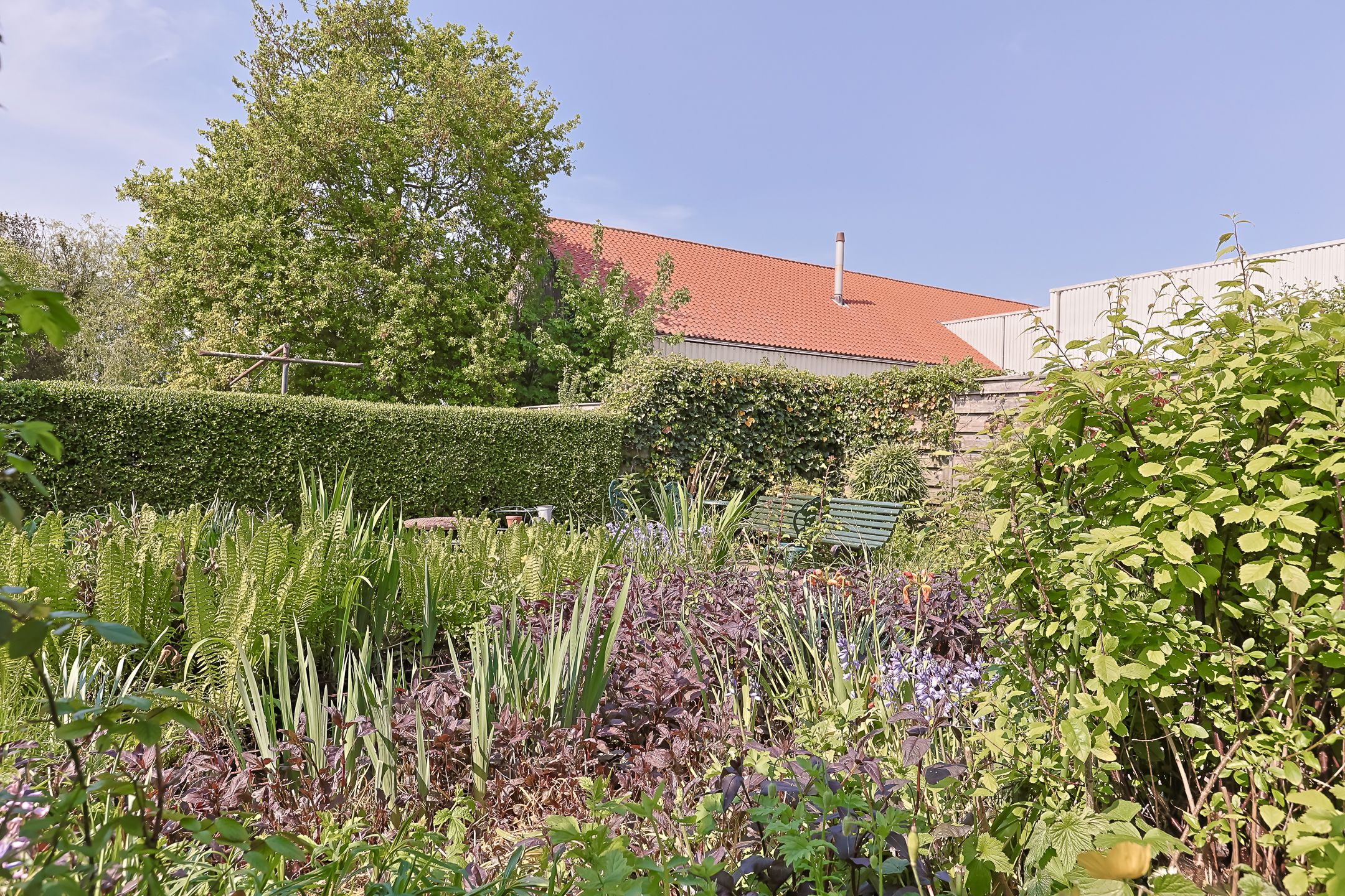 Foto 60 van Langeraarseweg 200