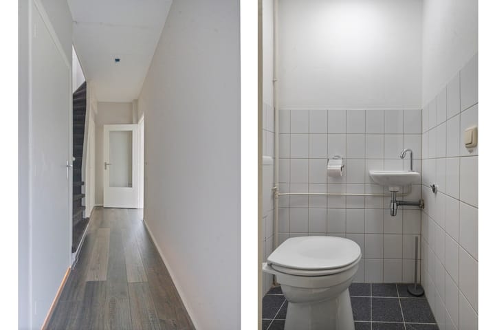 Foto 6 van Stekelbrem 8