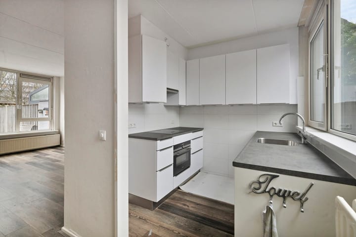 Foto 7 van Stekelbrem 8