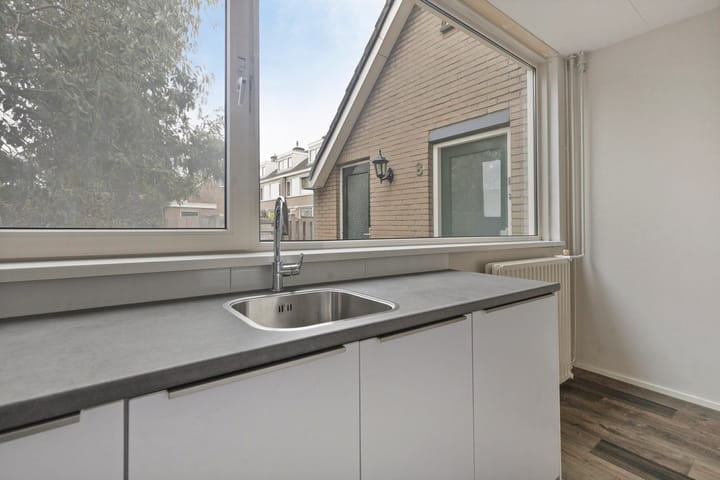 Foto 8 van Stekelbrem 8