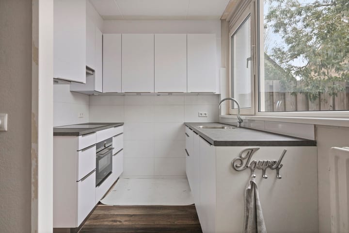 Foto 9 van Stekelbrem 8