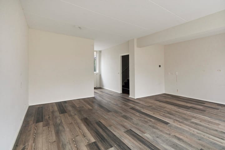 Foto 11 van Stekelbrem 8