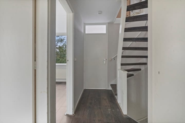 Foto 14 van Stekelbrem 8