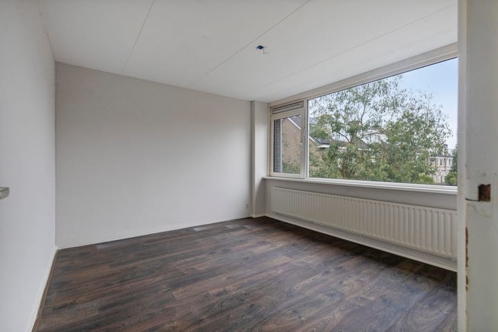 Foto 15 van Stekelbrem 8