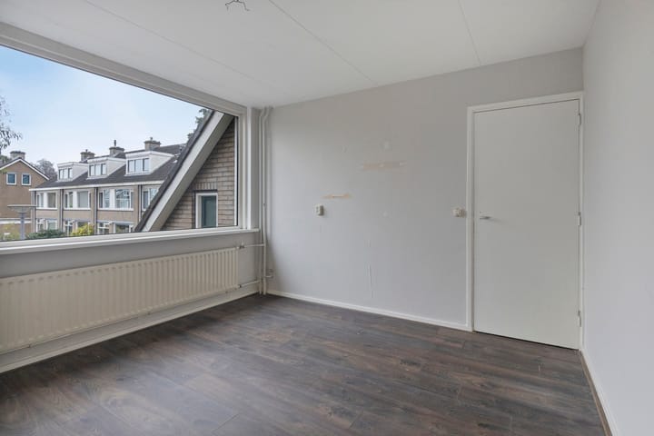 Foto 16 van Stekelbrem 8