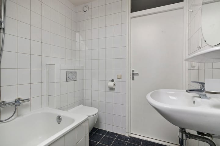 Foto 18 van Stekelbrem 8