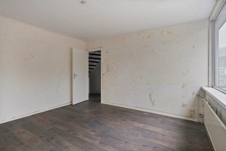 Foto 20 van Stekelbrem 8