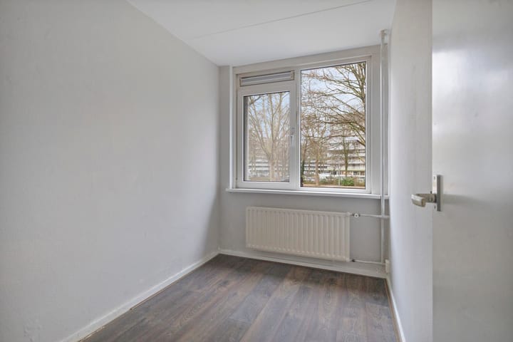 Foto 21 van Stekelbrem 8