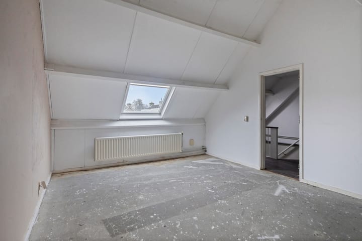 Foto 24 van Stekelbrem 8