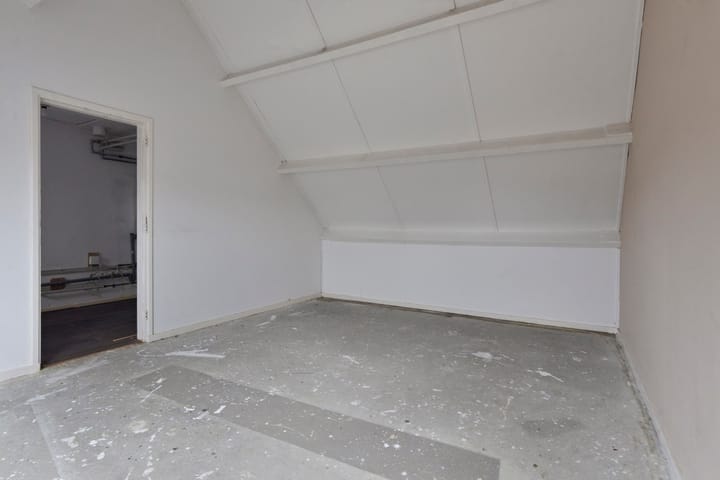 Foto 25 van Stekelbrem 8