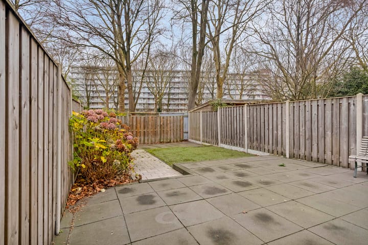 Foto 26 van Stekelbrem 8