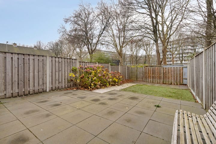 Foto 27 van Stekelbrem 8