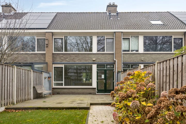 Foto 29 van Stekelbrem 8