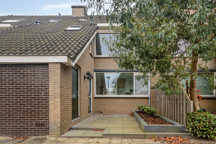 Foto 30 van Stekelbrem 8