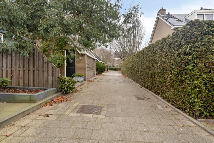 Foto 31 van Stekelbrem 8