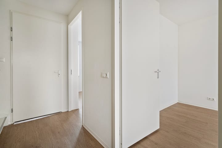 Photo 12 of Lover 90