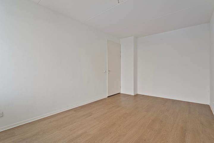 Photo 16 of Lover 90