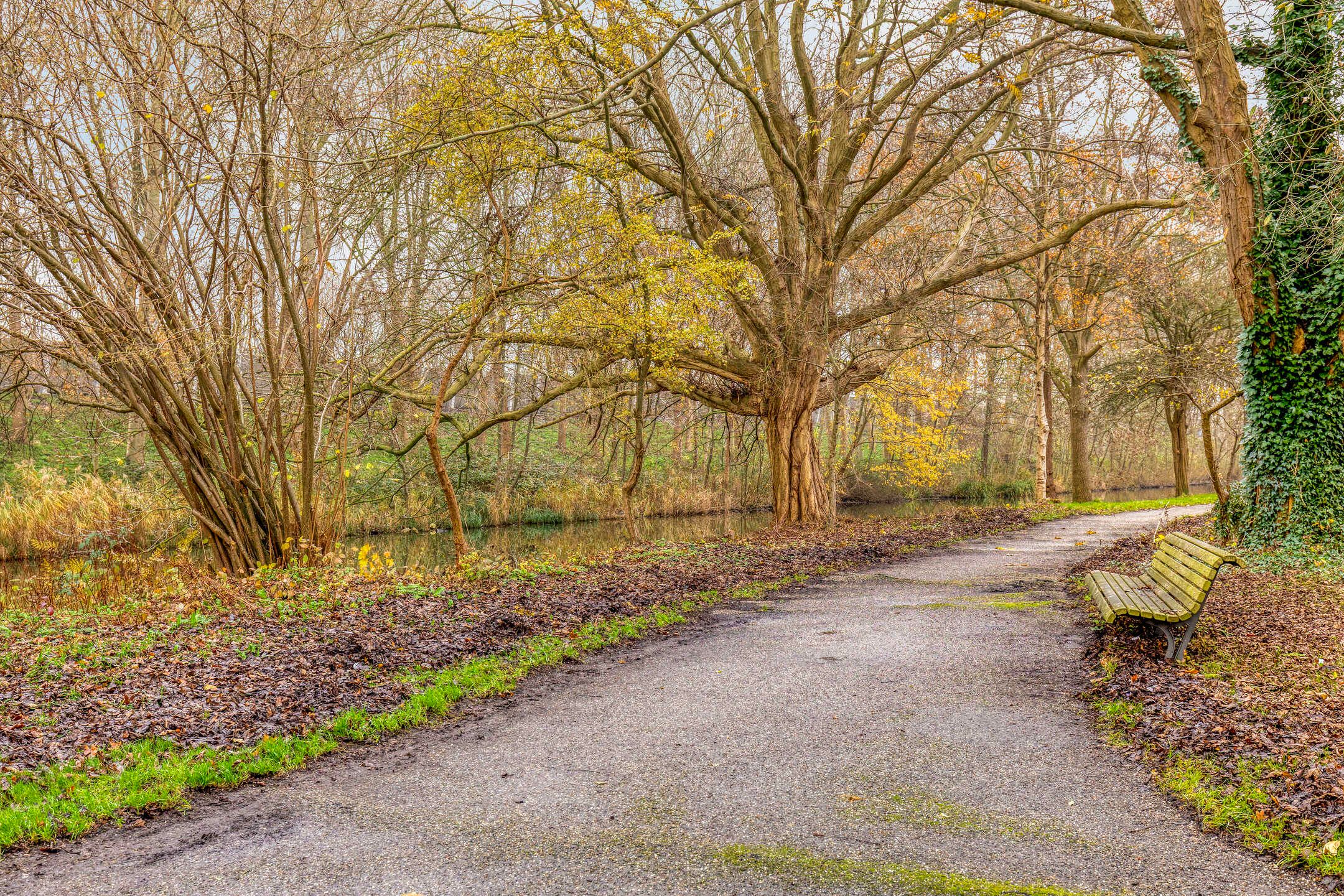 Foto 36 van Wieringerwaardstraat 231