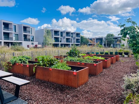 Zandheuvel 8 secondary image