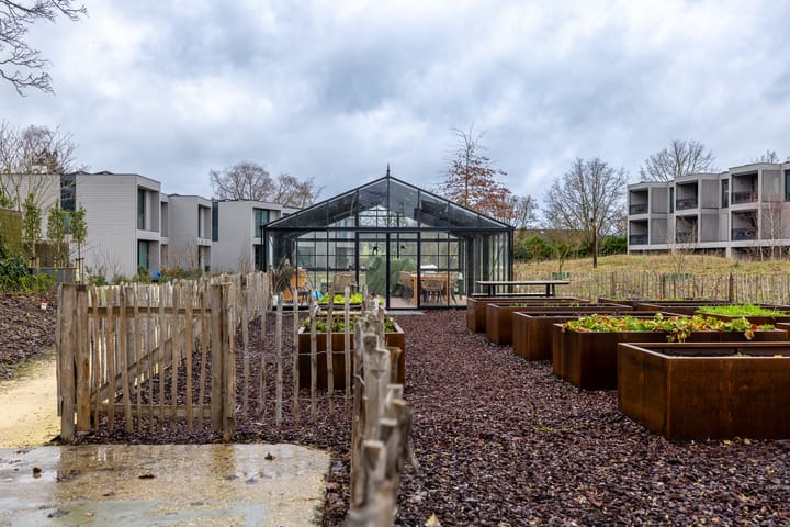 Foto 36 van Zandheuvel 8