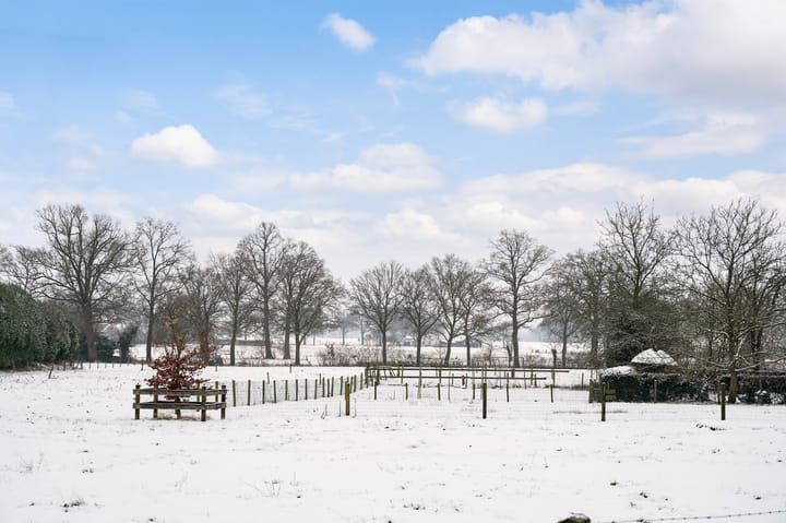 Foto 10 van Roosdomsweg 20