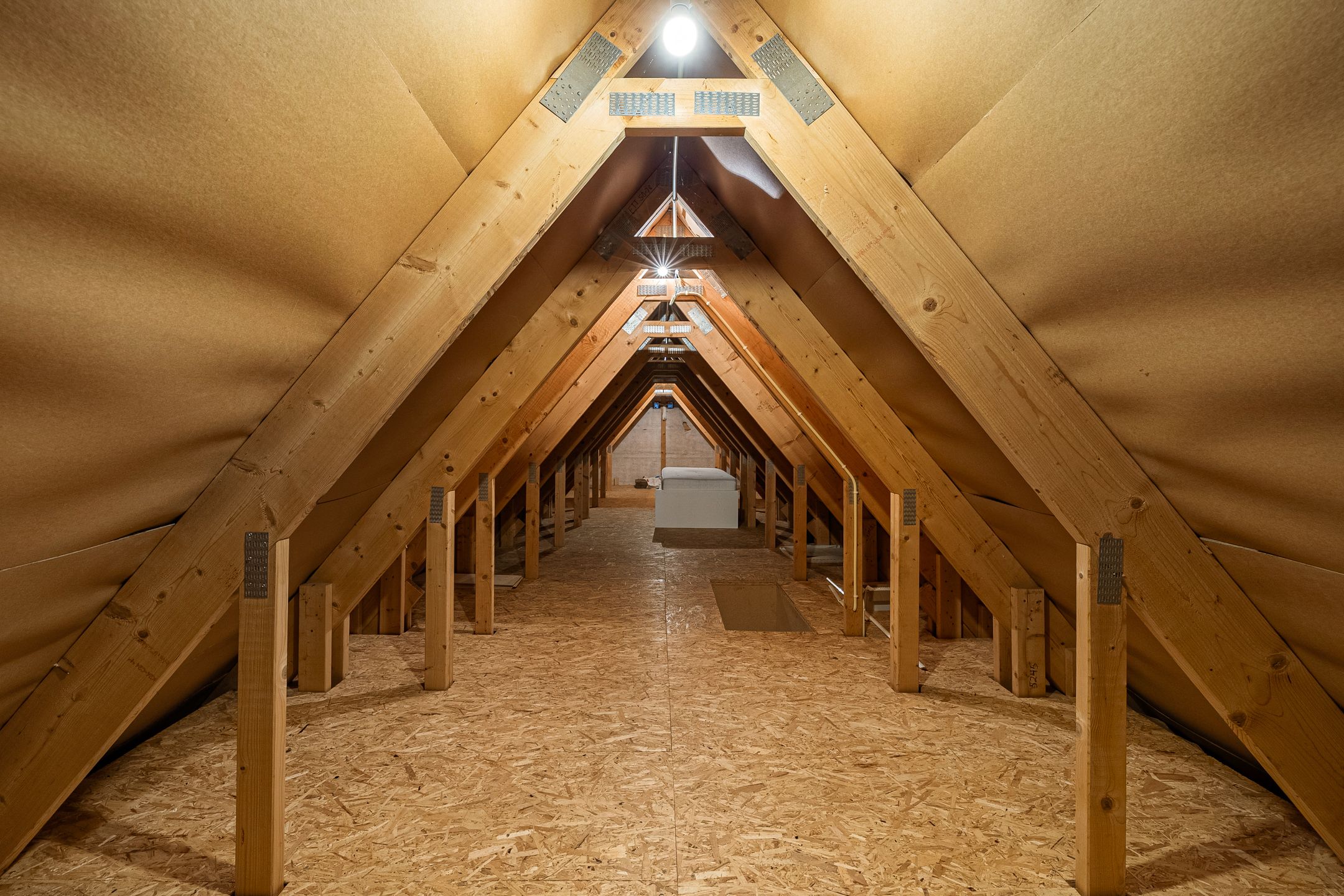 Foto 24 van Willem Lodewijklaan 119