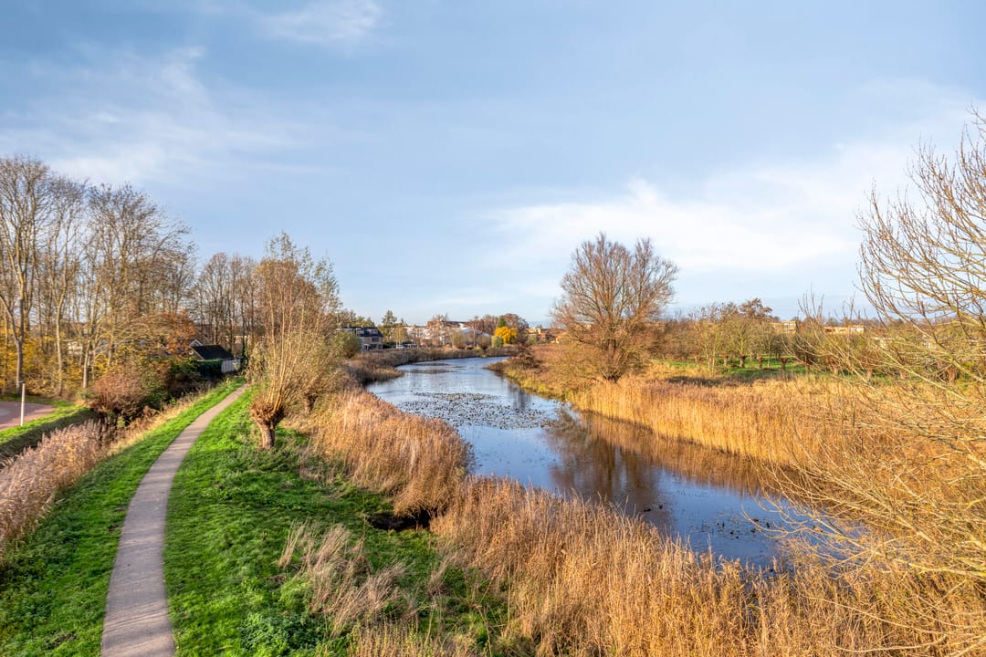 Photo 31 of Marsmanplein 28