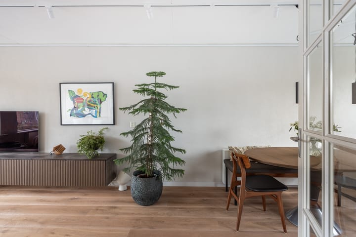 Foto 25 van Zuidvliet 113