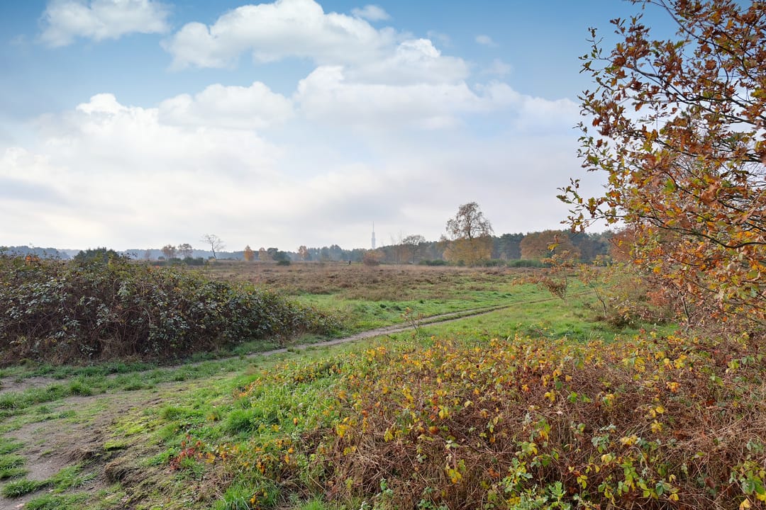 Foto 2 van Anthonie Fokkerstraat 76